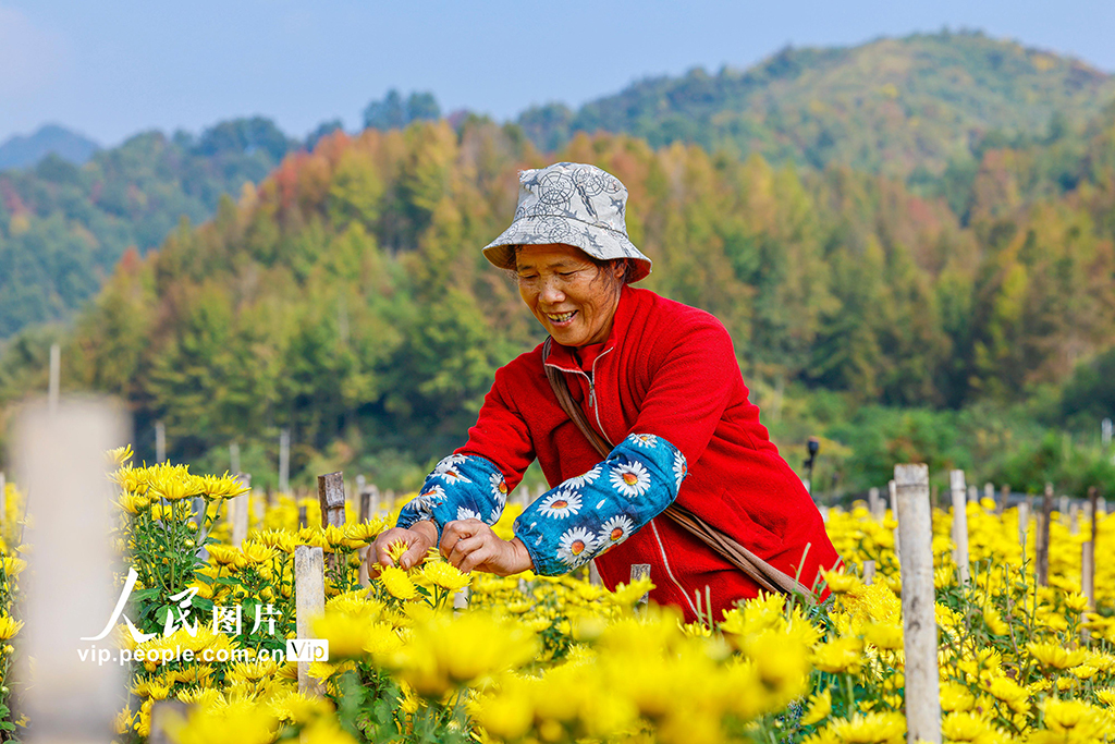 7ebe2b877da1bb96899cbdaa65b3bd33_MAIN1761700542789ERVDGUQA9I.jpg 7ebe2b877da1bb96899cbdaa65b3bd33_MAIN1761700542789ERVDGUQA9I.jpg