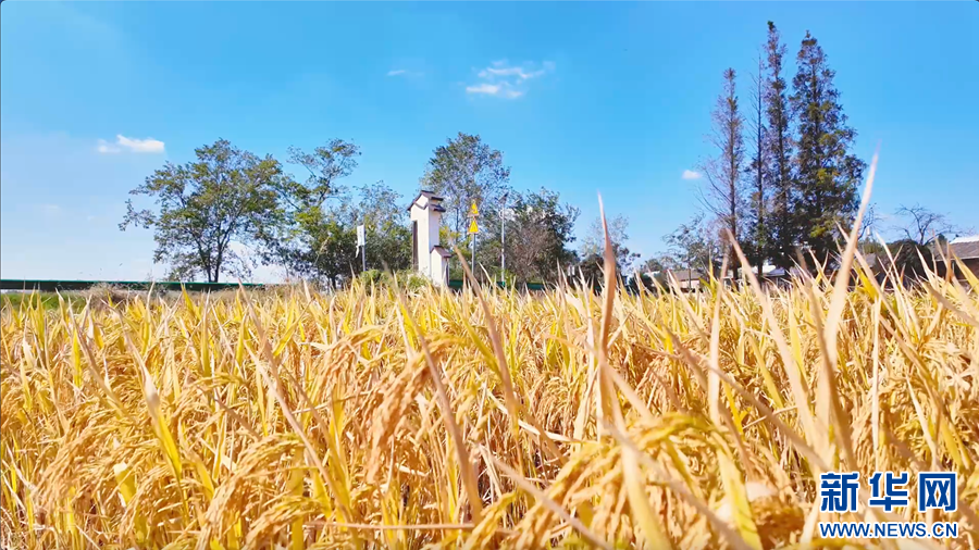 82737360d08fb62bc6714eecd293ee7d_20251028a006b635fd194a6a9c9bfcc613842aa4_20251028ec9aea0a5c594a97b8353ab0cd757171.jpg 82737360d08fb62bc6714eecd293ee7d_20251028a006b635fd194a6a9c9bfcc613842aa4_20251028ec9aea0a5c594a97b8353ab0cd757171.jpg