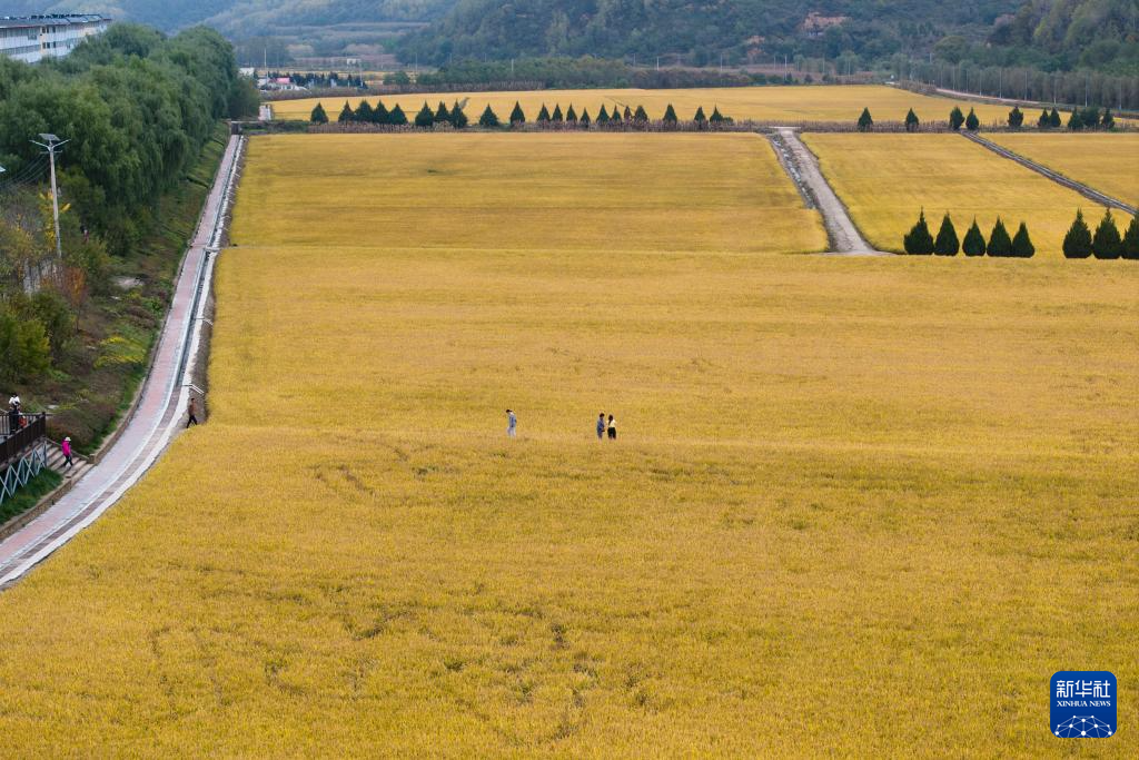 34ea0c31dac14e059b575e6b02654ed9_20251017ef48a77c04a34ae9a369eee7ce59b4c4_20251017bb82150005884c1f85033a0e479ba45f.jpg 34ea0c31dac14e059b575e6b02654ed9_20251017ef48a77c04a34ae9a369eee7ce59b4c4_20251017bb82150005884c1f85033a0e479ba45f.jpg