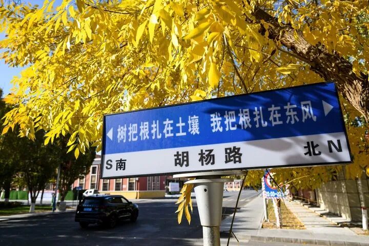 2025103111b475dd916141698dc60d8558b0723d_20251031ce29aeeafc454d80beb4259d25482763.jpeg 2025103111b475dd916141698dc60d8558b0723d_20251031ce29aeeafc454d80beb4259d25482763.jpeg