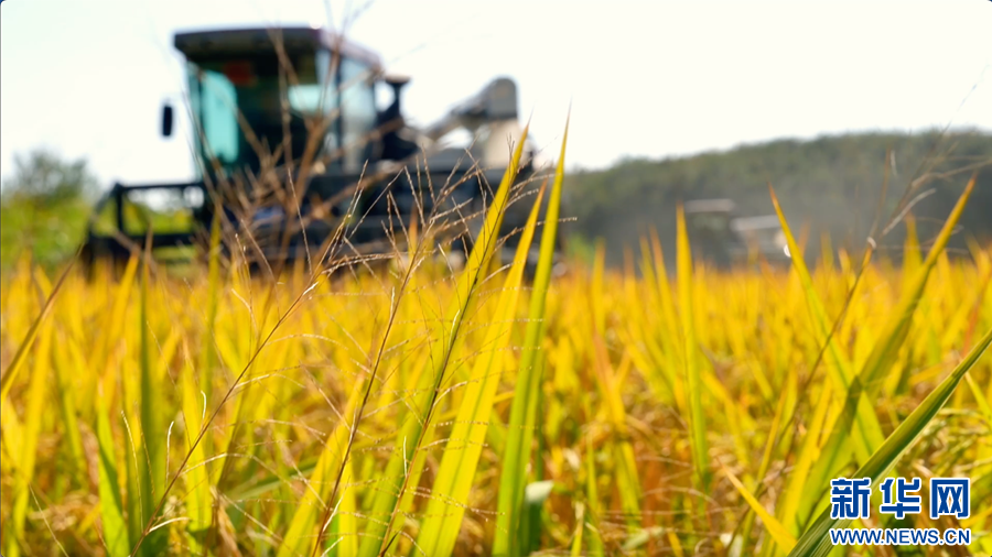 9bbc55a66bf1c117e9f28c4655afca77_20251028a006b635fd194a6a9c9bfcc613842aa4_2025102842c5ef2652c946ae81b06d52ebd41a5f.jpg 9bbc55a66bf1c117e9f28c4655afca77_20251028a006b635fd194a6a9c9bfcc613842aa4_2025102842c5ef2652c946ae81b06d52ebd41a5f.jpg