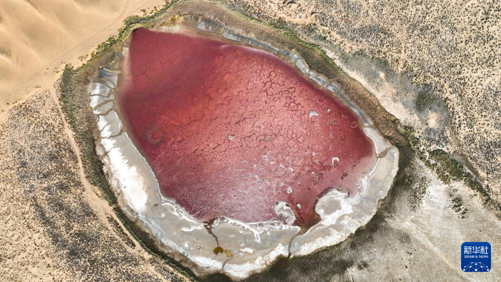 9276f5f58db1b22f7244d8428ec75dfc_202510230da6a97738c44ced8de134eab478010c_20251023fc8942e1eb6e41f484603654fb3ee91a.jpg 9276f5f58db1b22f7244d8428ec75dfc_202510230da6a97738c44ced8de134eab478010c_20251023fc8942e1eb6e41f484603654fb3ee91a.jpg