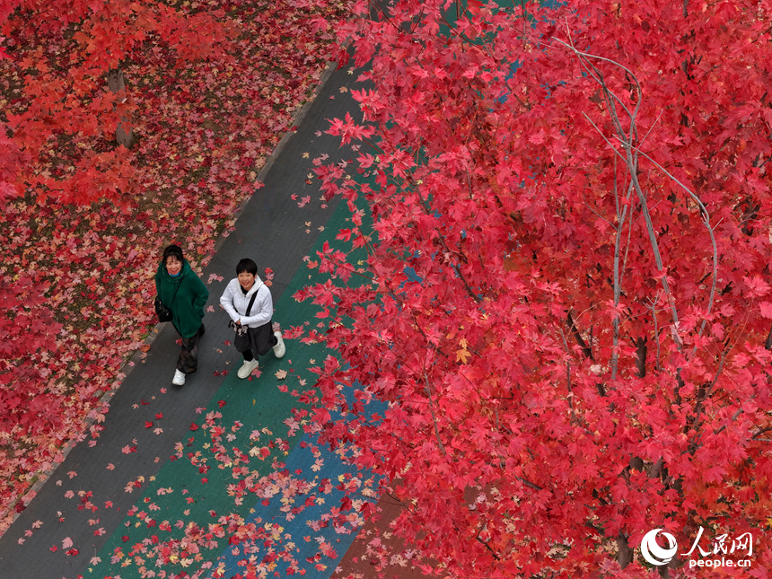 902b5c66dedb8513cc61f392d2eb44a5_LOCAL1761009331224PIO224EEW9.jpg 902b5c66dedb8513cc61f392d2eb44a5_LOCAL1761009331224PIO224EEW9.jpg