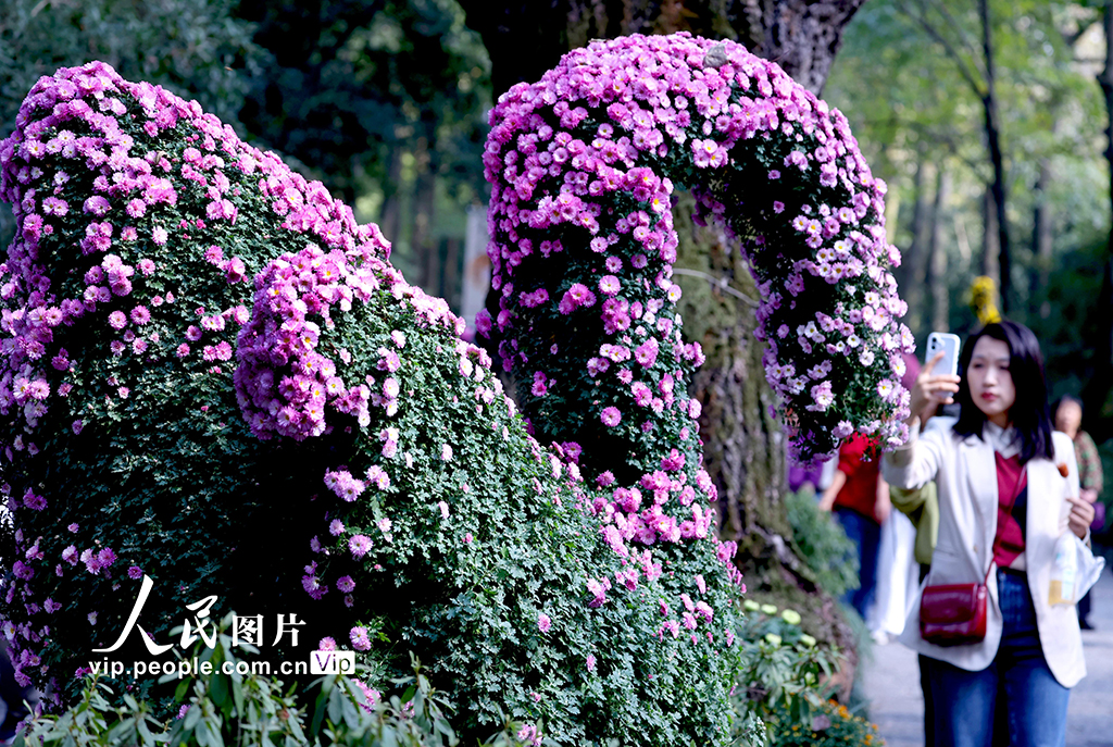 MAIN1761786070241VFFOU534FM.jpg MAIN1761786070241VFFOU534FM.jpg