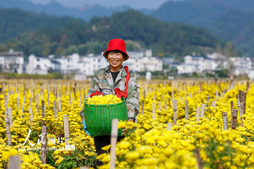 ff4d2ec6348177c696057fb52c386e22_MAIN1761700543232IZ03X2SWZ4.jpg ff4d2ec6348177c696057fb52c386e22_MAIN1761700543232IZ03X2SWZ4.jpg