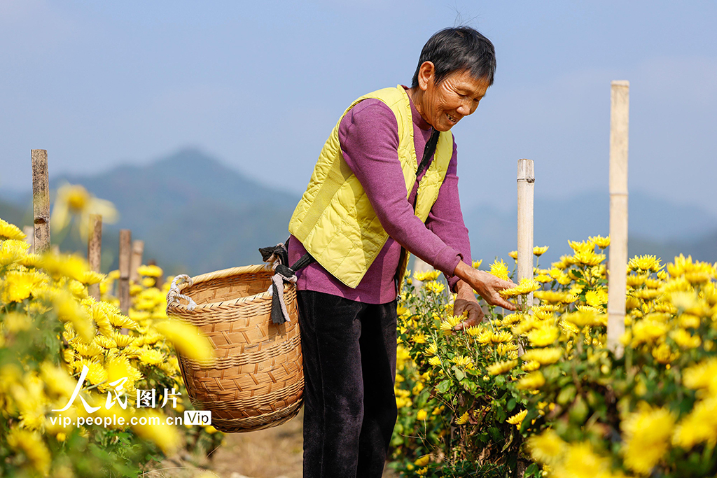 9ff178d8971417302d043a68385a5e95_MAIN1761700542838QY3HOP87OB.jpg 9ff178d8971417302d043a68385a5e95_MAIN1761700542838QY3HOP87OB.jpg