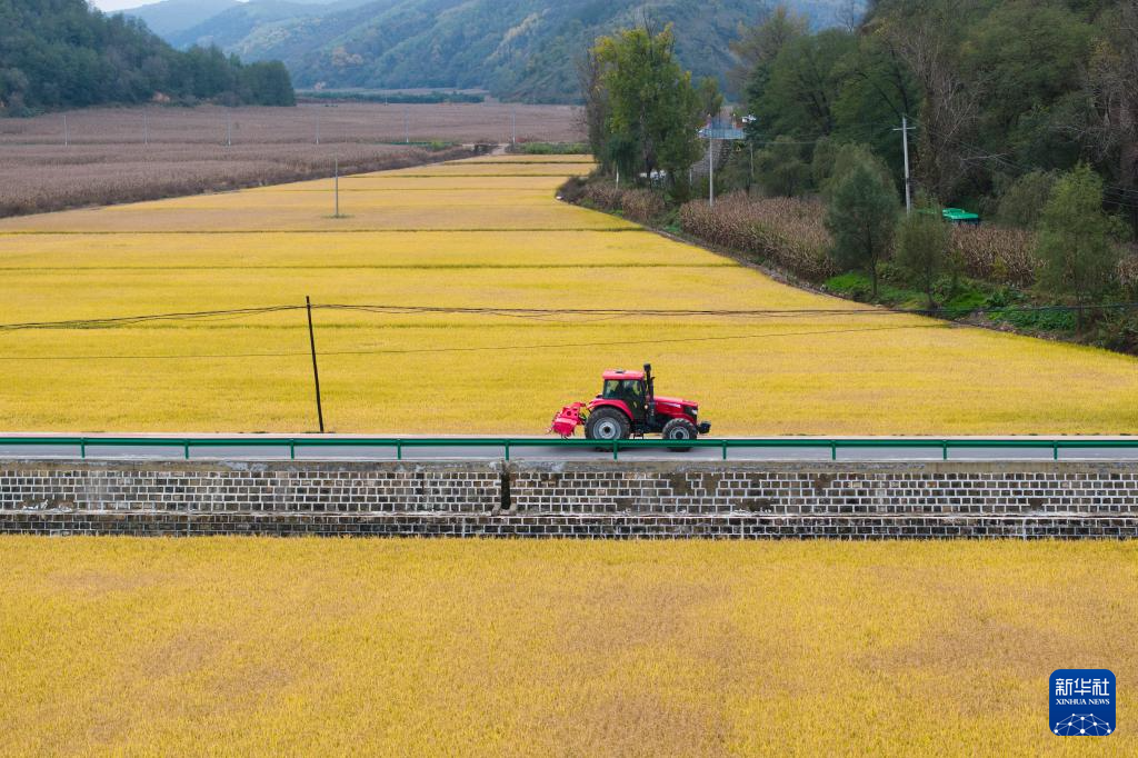 112a138a5032f411e9227b07eccf5f0e_20251017ef48a77c04a34ae9a369eee7ce59b4c4_20251017a64431cbcee8443c831f55727730a518.jpg 112a138a5032f411e9227b07eccf5f0e_20251017ef48a77c04a34ae9a369eee7ce59b4c4_20251017a64431cbcee8443c831f55727730a518.jpg