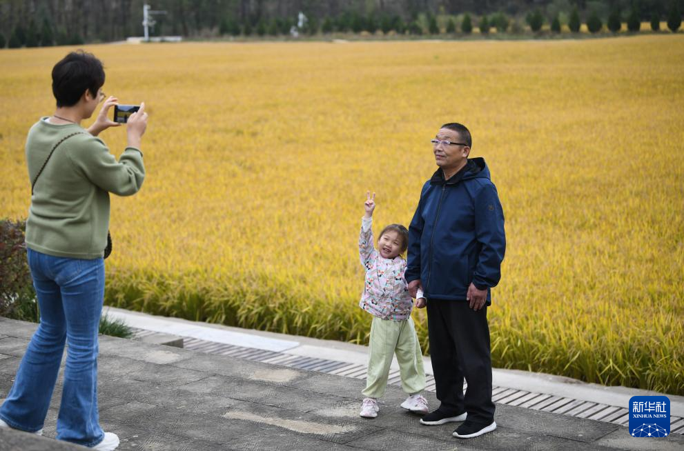 27a40826f955922bf2d5004207679279_20251017ef48a77c04a34ae9a369eee7ce59b4c4_202510173e4908571aee4b7ea78ade18d5c258fe.jpg 27a40826f955922bf2d5004207679279_20251017ef48a77c04a34ae9a369eee7ce59b4c4_202510173e4908571aee4b7ea78ade18d5c258fe.jpg