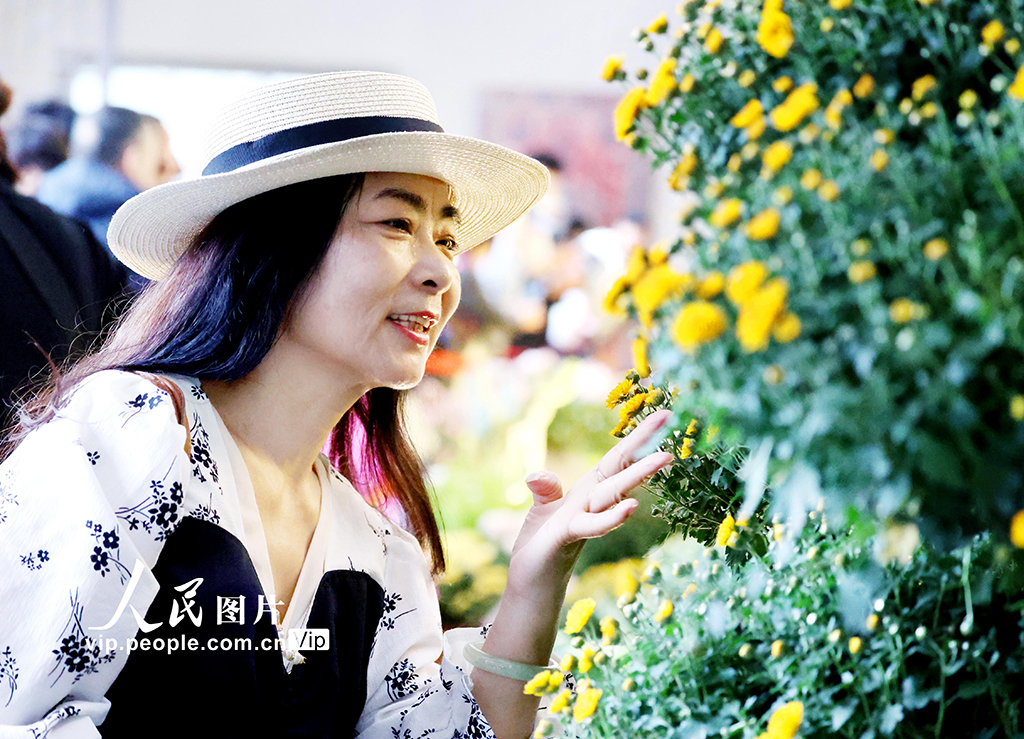 MAIN1761786069561QCSESSB9J2.jpg MAIN1761786069561QCSESSB9J2.jpg