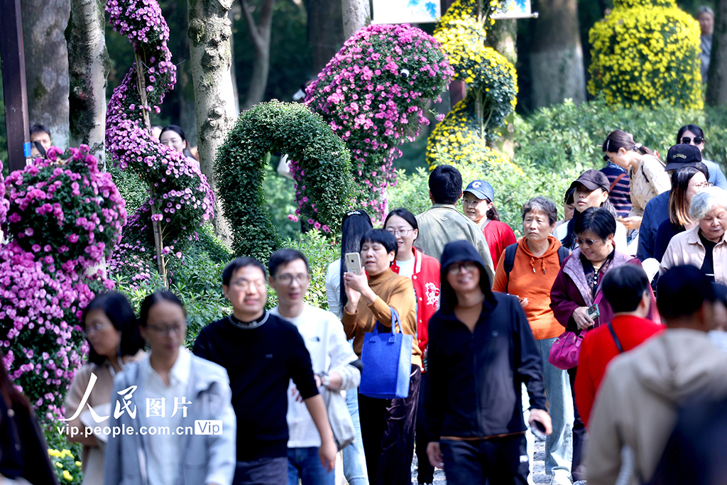 MAIN1761786070218QGQ2HI485C.jpg MAIN1761786070218QGQ2HI485C.jpg