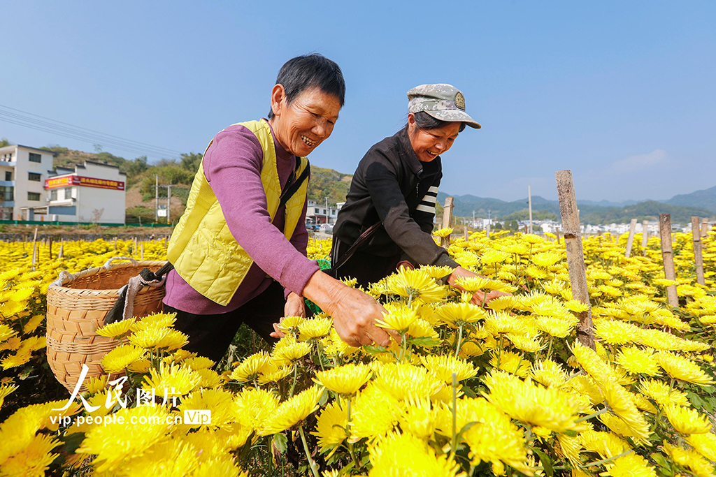 b8388b4e9017dede69b2bcb63e4fa434_MAIN1761700542812EGKKNYZL63.jpg b8388b4e9017dede69b2bcb63e4fa434_MAIN1761700542812EGKKNYZL63.jpg