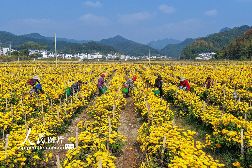 02c1b51fec22189a98263845ae1b56f2_MAIN1761700543254LKBD9UTTIA.jpg 02c1b51fec22189a98263845ae1b56f2_MAIN1761700543254LKBD9UTTIA.jpg