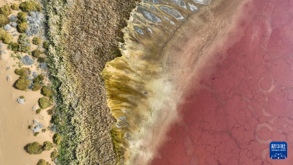 2c43fc86fc6540a445dda48939763c61_202510230da6a97738c44ced8de134eab478010c_202510238462da6f6e6e4b7f9b2c7ff9855304e2.jpg 2c43fc86fc6540a445dda48939763c61_202510230da6a97738c44ced8de134eab478010c_202510238462da6f6e6e4b7f9b2c7ff9855304e2.jpg