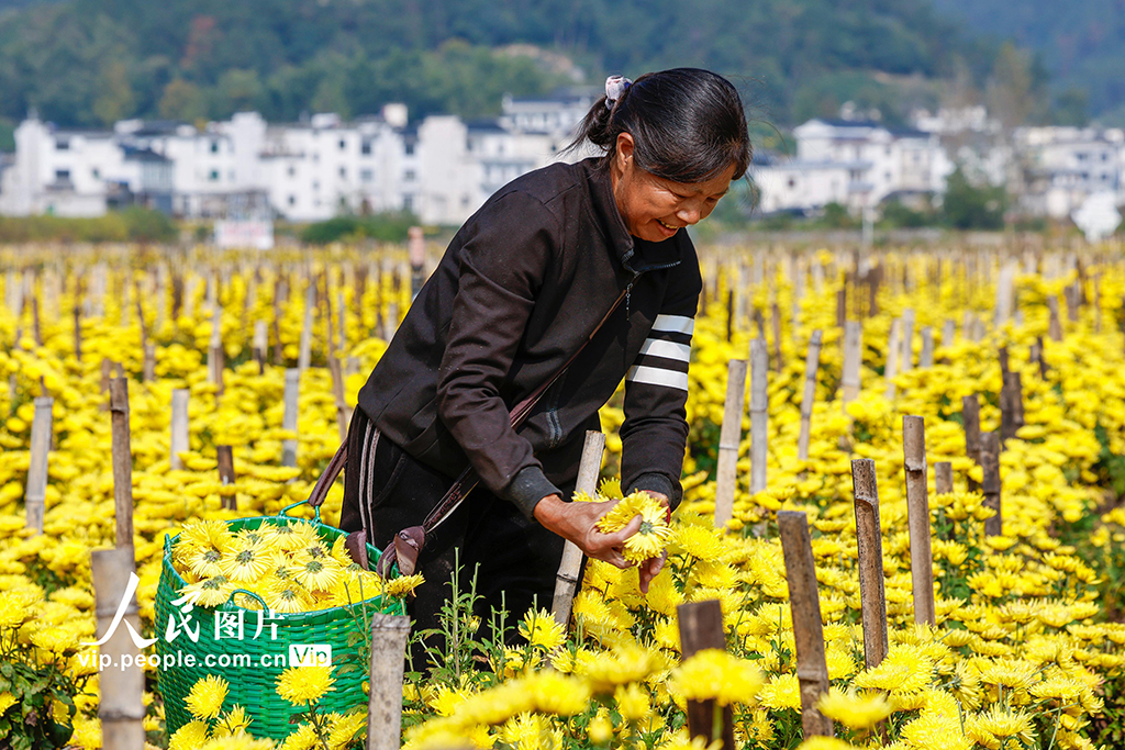 b0052c62b5be5437924e98d11fed0198_MAIN1761700542862848ZESO1WV.jpg b0052c62b5be5437924e98d11fed0198_MAIN1761700542862848ZESO1WV.jpg