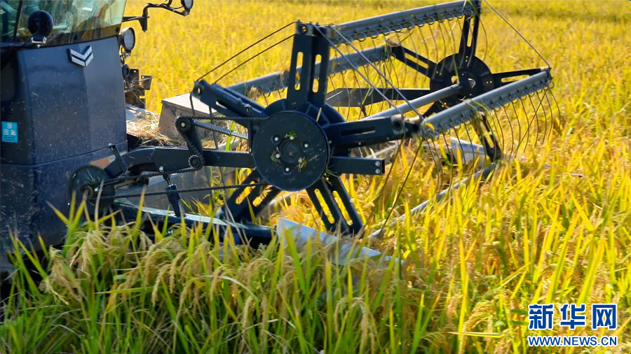 60ddbe3110e8744f13301876306354f0_20251028a006b635fd194a6a9c9bfcc613842aa4_2025102859aed73af12d49e2b43275e6f0e59716.jpg 60ddbe3110e8744f13301876306354f0_20251028a006b635fd194a6a9c9bfcc613842aa4_2025102859aed73af12d49e2b43275e6f0e59716.jpg