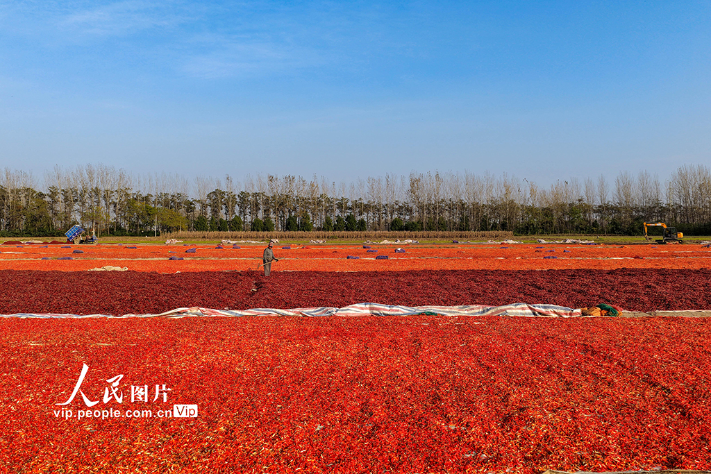 MAIN1762131564676ZH8562KJ9E.jpg MAIN1762131564676ZH8562KJ9E.jpg