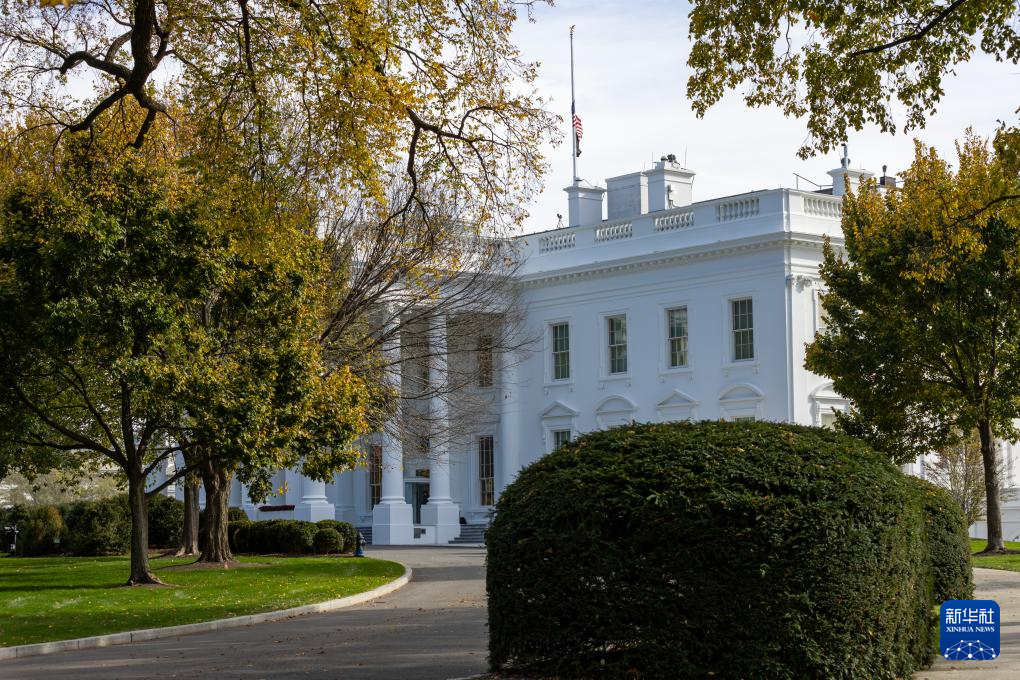 5766574895865761938.png 5766574895865761938.png