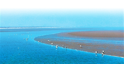 410605ad-84f7-4819-897e-13cd7e6ffd65.jpg 410605ad-84f7-4819-897e-13cd7e6ffd65.jpg