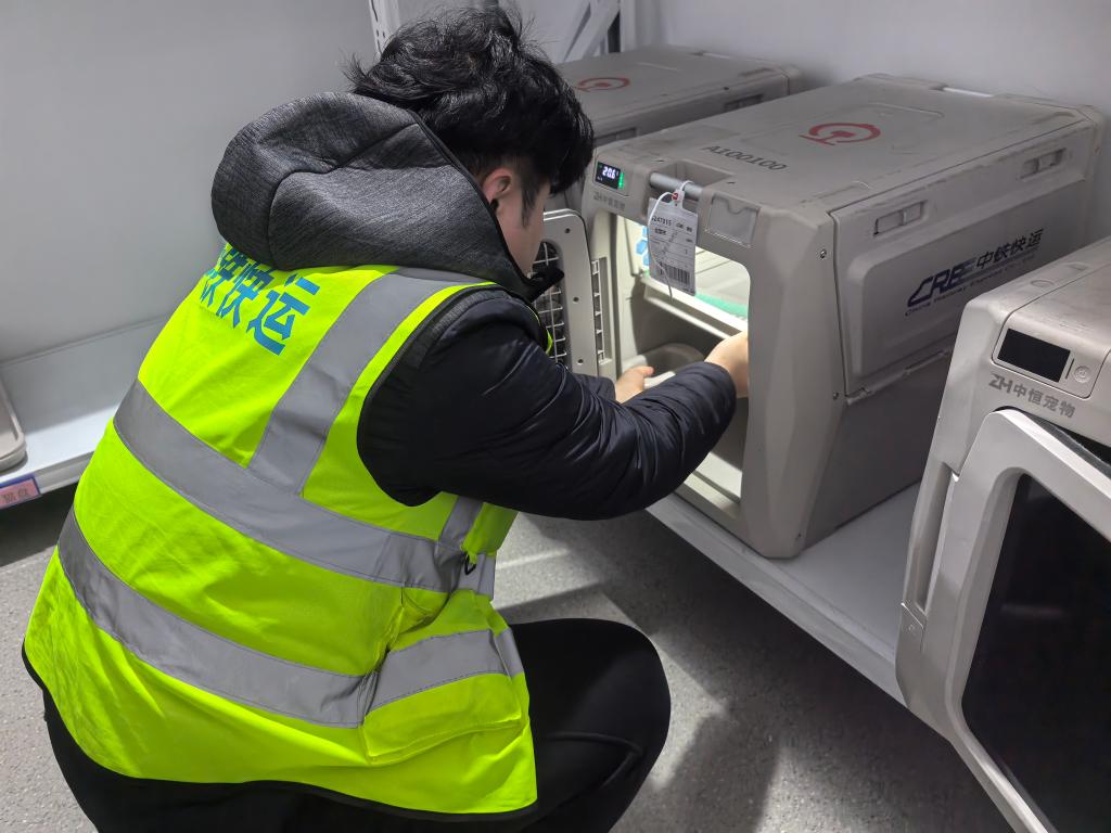 925742f51ad56a9edb48722227497dc3_2025110271178604aa24445280cd5bb228656963_0a971ffc28cb411c9cf8aabd91b2ce47.jpg 925742f51ad56a9edb48722227497dc3_2025110271178604aa24445280cd5bb228656963_0a971ffc28cb411c9cf8aabd91b2ce47.jpg