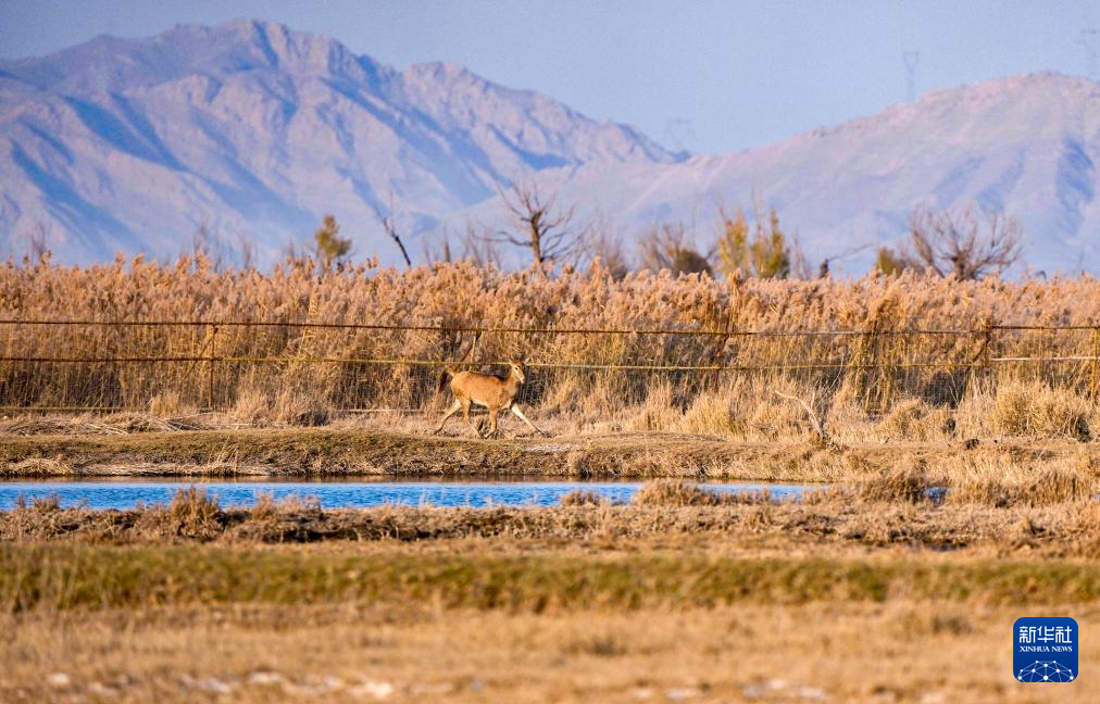 88498202d0c0139c4be5c9c65291d726_2025110548450452e9084c1a9cc473fdaa17da39_20251105dd76e3d494ce4d6d823567c32766e5bd.jpg 88498202d0c0139c4be5c9c65291d726_2025110548450452e9084c1a9cc473fdaa17da39_20251105dd76e3d494ce4d6d823567c32766e5bd.jpg