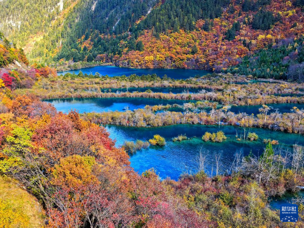 jK2StvpU5cCHvToR.jpeg jK2StvpU5cCHvToR.jpeg