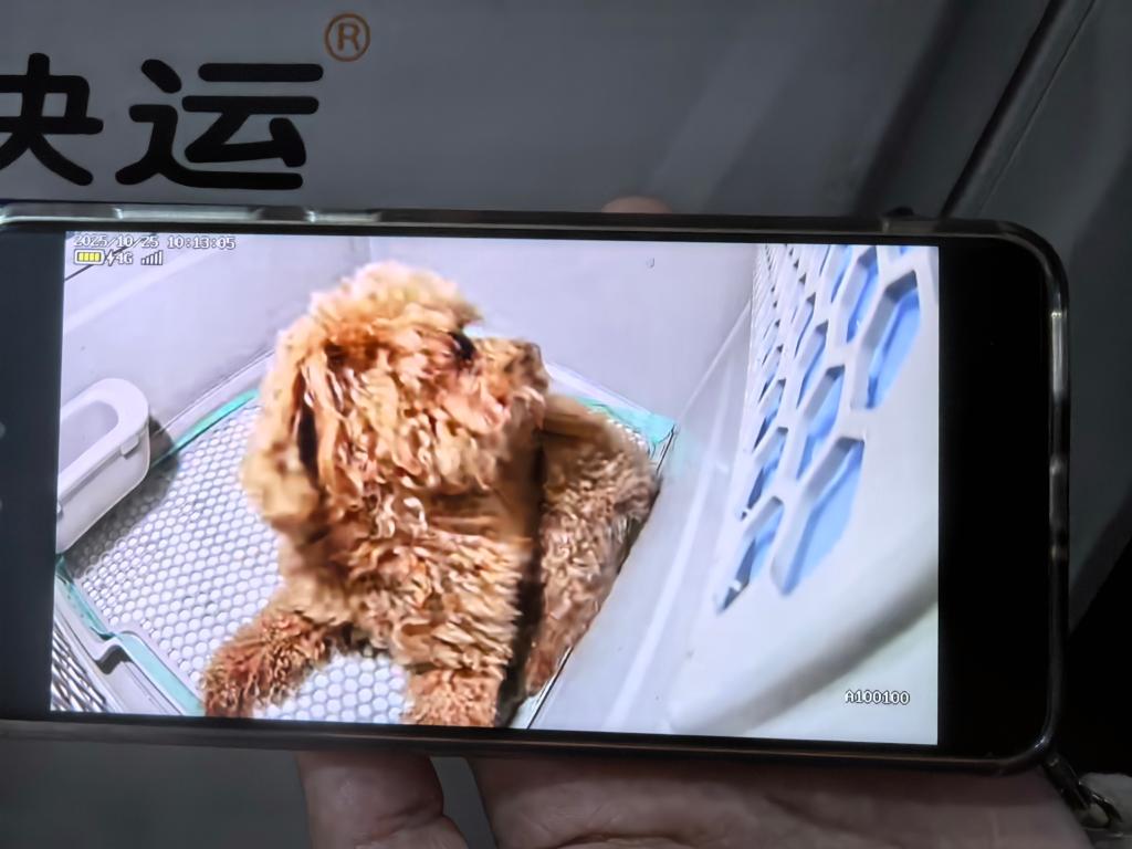 c1230c806ad1c12195aca001c0d1e865_2025110271178604aa24445280cd5bb228656963_853457b7d8c8446e817b0c27eabc5474.jpg c1230c806ad1c12195aca001c0d1e865_2025110271178604aa24445280cd5bb228656963_853457b7d8c8446e817b0c27eabc5474.jpg