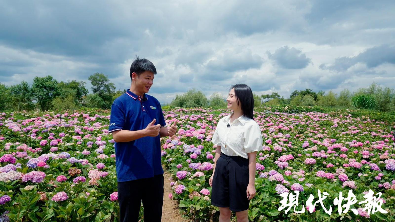 10248877918541904626.jpg 10248877918541904626.jpg