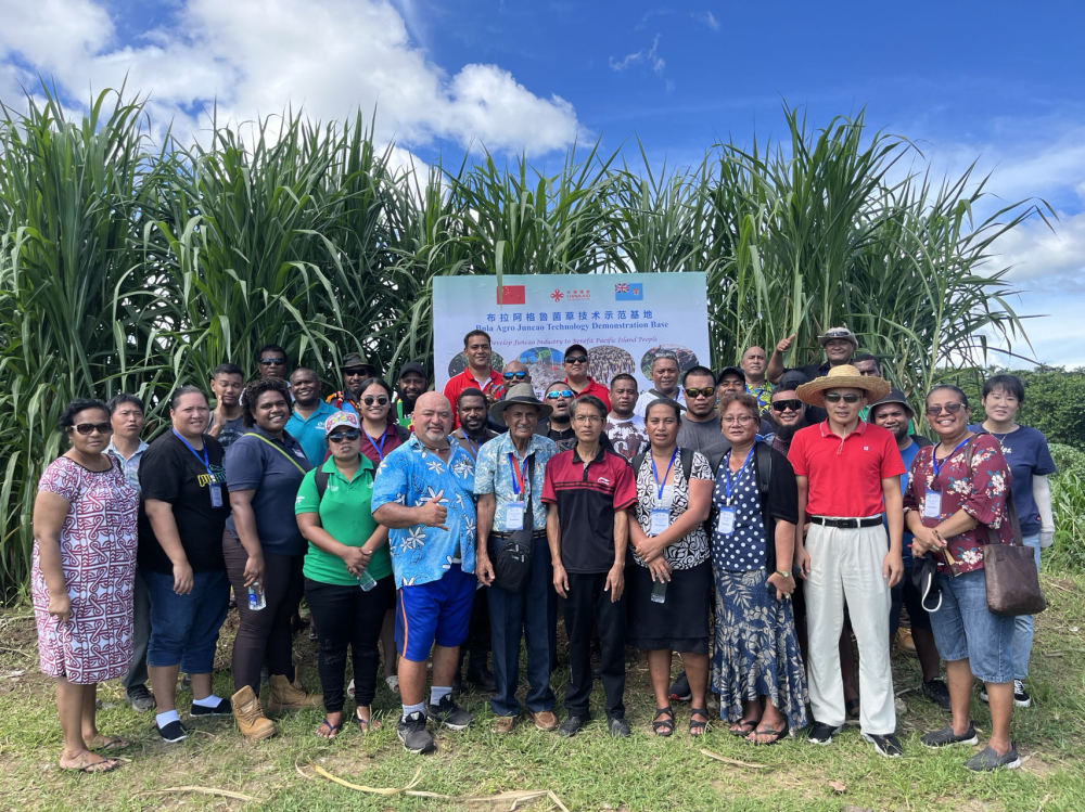 2025111447e1b3d4338b47168a3c6e5ccfa43cd5_2025111408880e81f8114d64800cea1cdb082e68.jpeg 2025111447e1b3d4338b47168a3c6e5ccfa43cd5_2025111408880e81f8114d64800cea1cdb082e68.jpeg