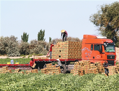 5e30a7a9-c6fe-40dd-bae8-5702baf7d881.jpg 5e30a7a9-c6fe-40dd-bae8-5702baf7d881.jpg