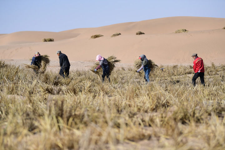 20251123ba0d5fefa80f43dda7d60c649e348e41_20251123daec766eceee45a8ad6d21deb15576fb.jpeg 20251123ba0d5fefa80f43dda7d60c649e348e41_20251123daec766eceee45a8ad6d21deb15576fb.jpeg