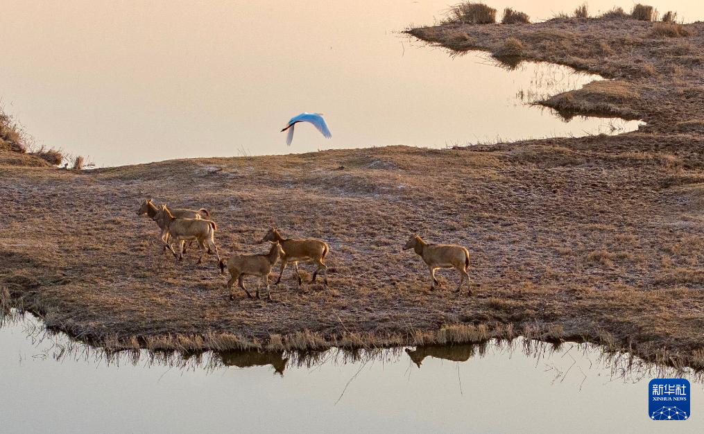 e086be934596a79b84acf37902966f9f_2025110548450452e9084c1a9cc473fdaa17da39_20251105b743d0ad174f4e63ac9b5f06b3dee8f3.jpg e086be934596a79b84acf37902966f9f_2025110548450452e9084c1a9cc473fdaa17da39_20251105b743d0ad174f4e63ac9b5f06b3dee8f3.jpg