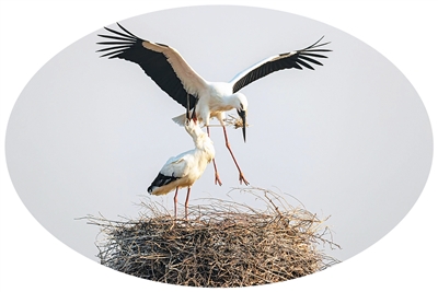 f76a0b27-9cea-4d7a-be0c-bdf07b9d8842.jpg f76a0b27-9cea-4d7a-be0c-bdf07b9d8842.jpg