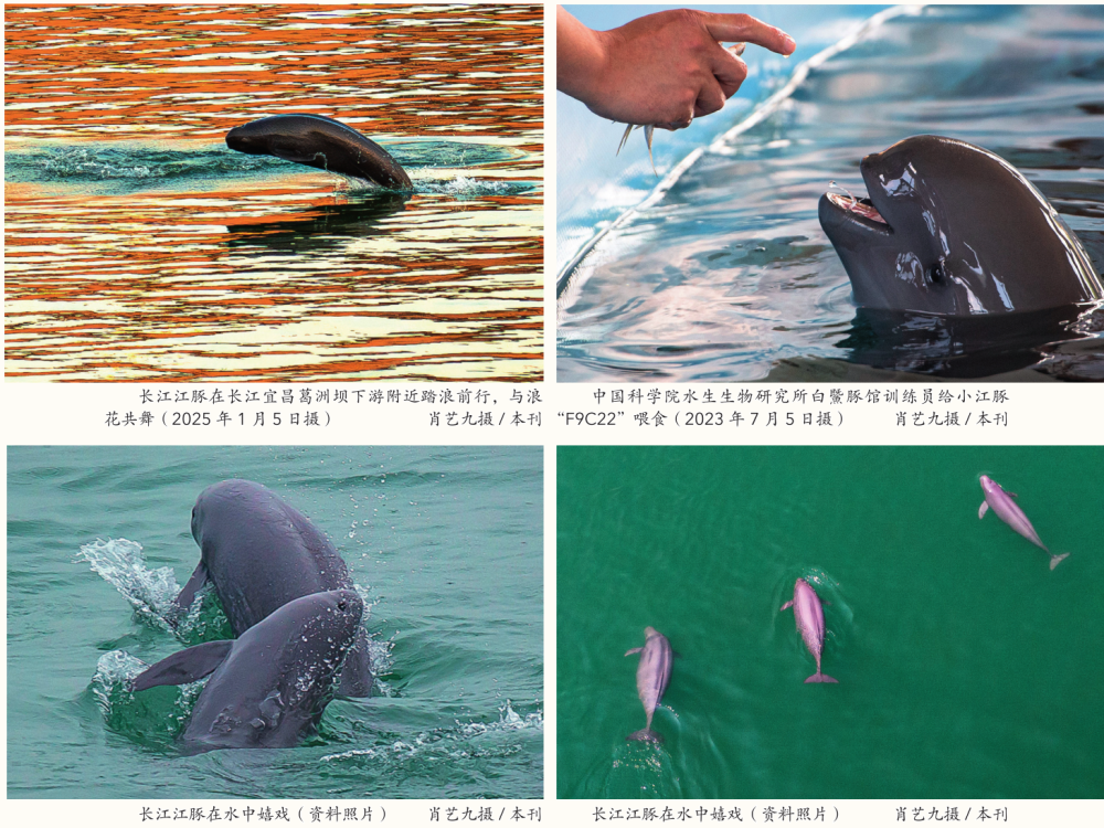 20251115601b941aee684b5d9424b0d8ffca47e2_20251115c51aa4d4e3b04e6d87dec63f419bed2f.png 20251115601b941aee684b5d9424b0d8ffca47e2_20251115c51aa4d4e3b04e6d87dec63f419bed2f.png