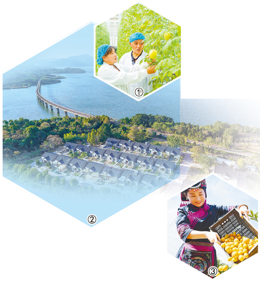 全国政协委员建言献策——  为农业农村现代化贡献智慧力量（议政）