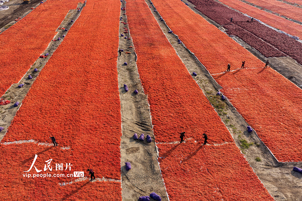 MAIN1762131572076CXAV6J5Q9W.jpg MAIN1762131572076CXAV6J5Q9W.jpg