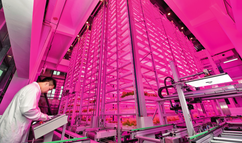 9282238_5bfc95e6-b3b2-49ce-bf44-8dda20209befcopy.png 9282238_5bfc95e6-b3b2-49ce-bf44-8dda20209befcopy.png