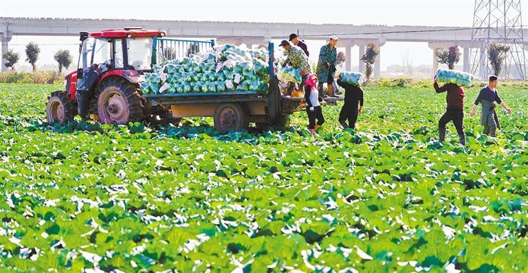 W020251215238035215464_ORIGIN.jpg W020251215238035215464_ORIGIN.jpg