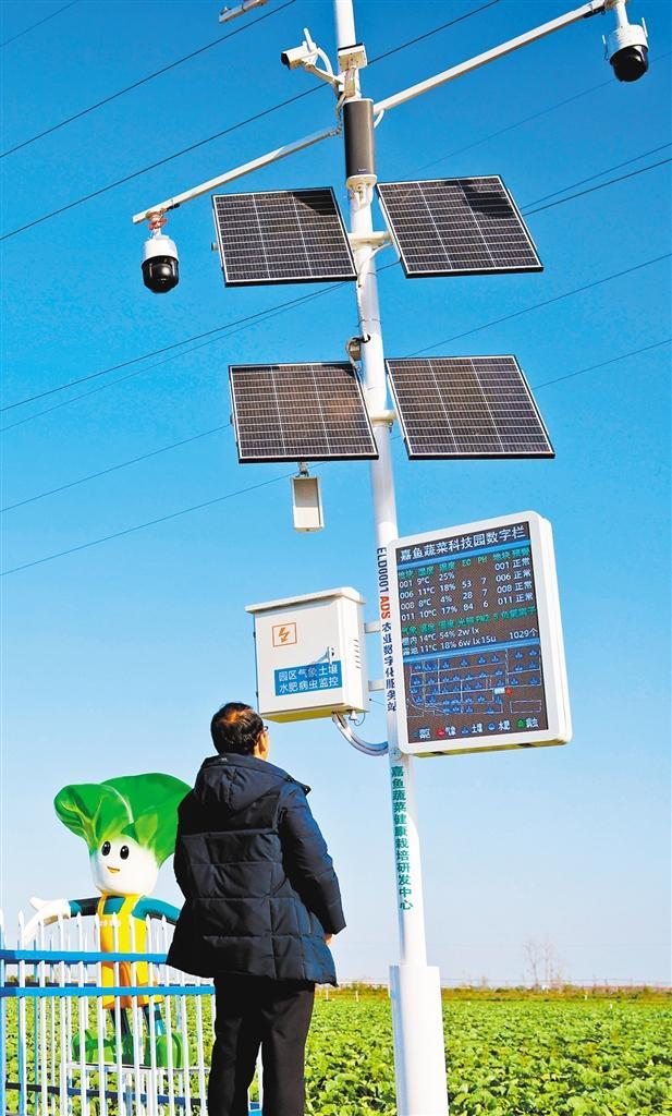 W020251215238035412903_ORIGIN.jpg W020251215238035412903_ORIGIN.jpg