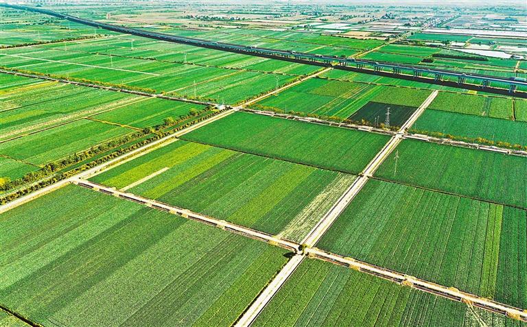 W020251215238035001756_ORIGIN.jpg W020251215238035001756_ORIGIN.jpg