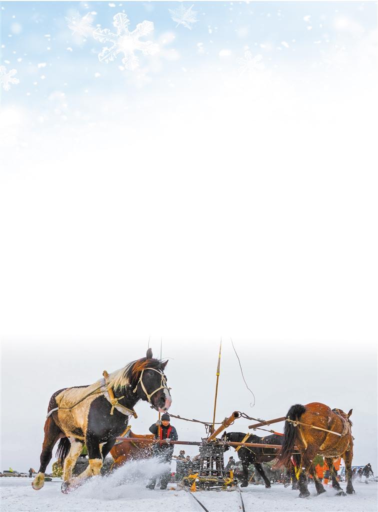 W020260115246471760086_ORIGIN.jpg W020260115246471760086_ORIGIN.jpg