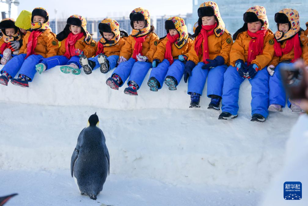 2026011440f19963958e4536be2dcfb13df0f2c7_2026011420c25182b56048e9b8819e233788fa51.jpg 2026011440f19963958e4536be2dcfb13df0f2c7_2026011420c25182b56048e9b8819e233788fa51.jpg