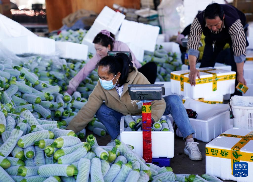 202601141c59a27cc4334c1cb6d0ae74ce23dae6_202601146c35201d22dc47b3841aeb25e3f0ace8.jpg 202601141c59a27cc4334c1cb6d0ae74ce23dae6_202601146c35201d22dc47b3841aeb25e3f0ace8.jpg