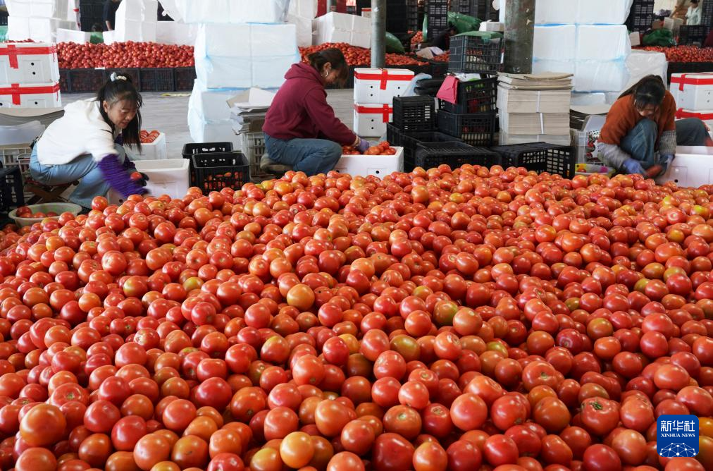 202601141c59a27cc4334c1cb6d0ae74ce23dae6_2026011451e995f1fc3a4d99a4ccd1c640e19dd4.jpg 202601141c59a27cc4334c1cb6d0ae74ce23dae6_2026011451e995f1fc3a4d99a4ccd1c640e19dd4.jpg