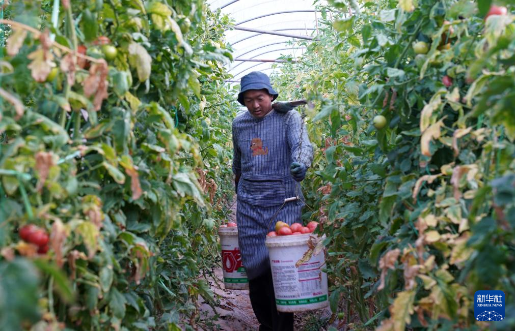 202601141c59a27cc4334c1cb6d0ae74ce23dae6_20260114c16ec6e271ce4f4cb458702304cbd973.jpg 202601141c59a27cc4334c1cb6d0ae74ce23dae6_20260114c16ec6e271ce4f4cb458702304cbd973.jpg