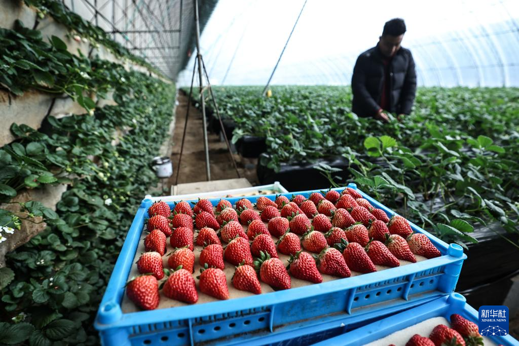 W020260114259677450396_ORIGIN.png W020260114259677450396_ORIGIN.png