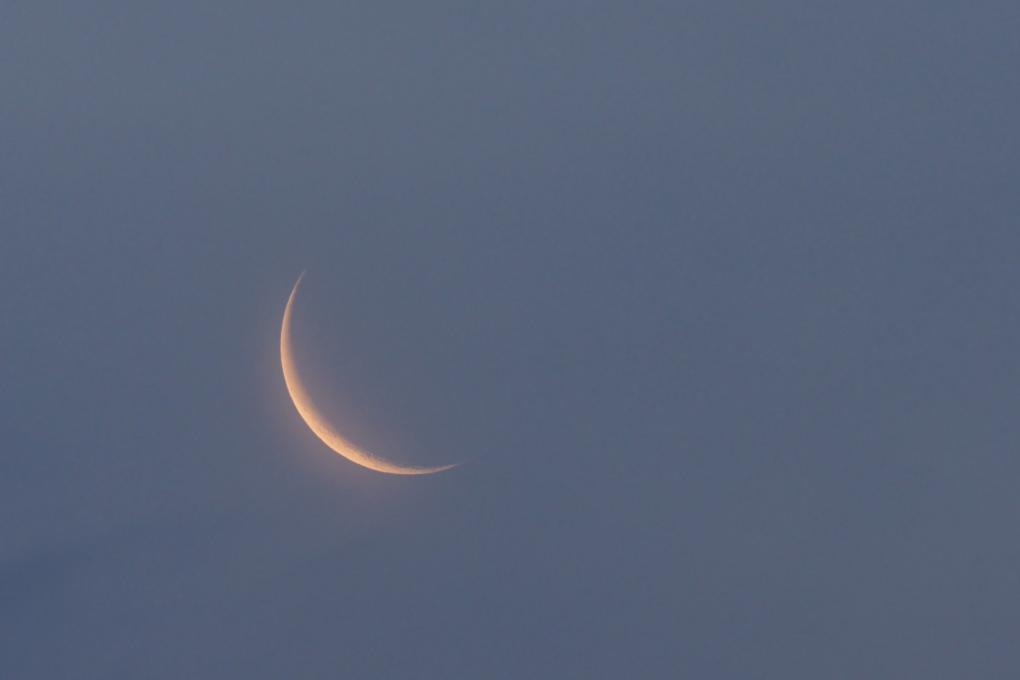 2026011314526bf461cd48f3b64c2cdea2ea1bb3_738e0f3e5421407e98d122cd7eadced5.jpg 2026011314526bf461cd48f3b64c2cdea2ea1bb3_738e0f3e5421407e98d122cd7eadced5.jpg