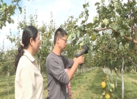 新华视点丨金秋农忙庆丰收 科技赋能助力乡村振兴