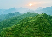 新华视点丨特色产业“挑大梁” 县域经济焕新颜