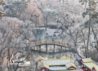 河北承德：避暑山庄现雾凇景观