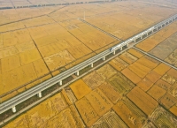 镜观中国｜良田舒卷！夯牢中国饭碗新底气